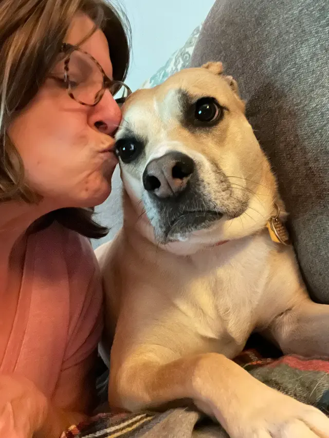 Best in Show Pet Sitting — photo from the business 9