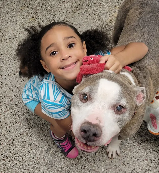 Noah's Ark Kennel & Cattery — photo from the business 2