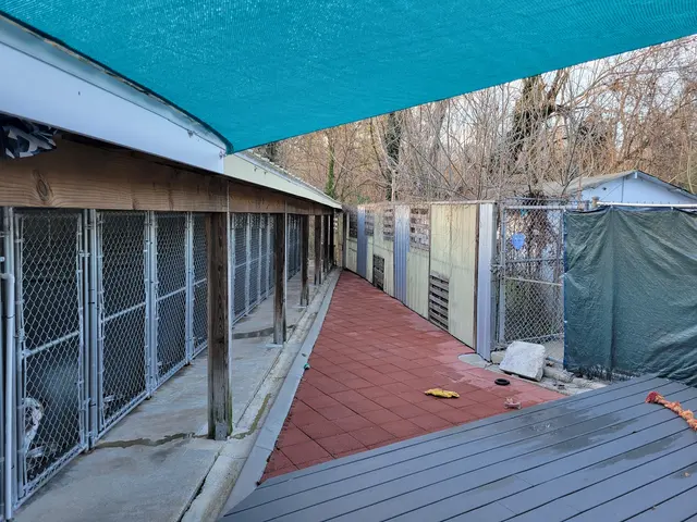 Noah's Ark Kennel & Cattery — photo from the business 5