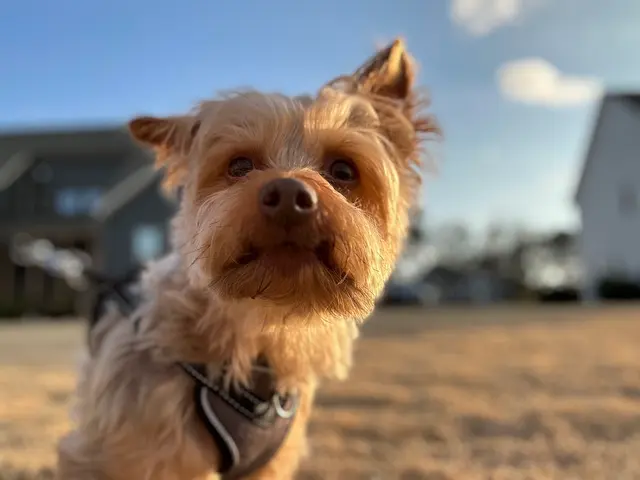 Hooman on Demand — photo from the business 10