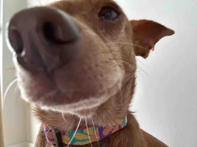 Hooman on Demand — photo from the business 11