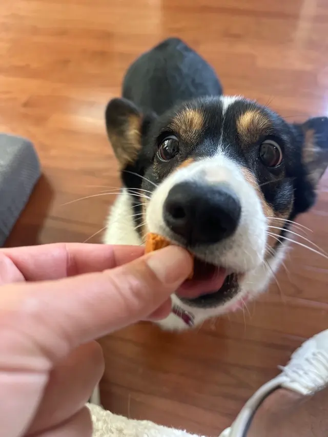 Hooman on Demand — photo from the business 2
