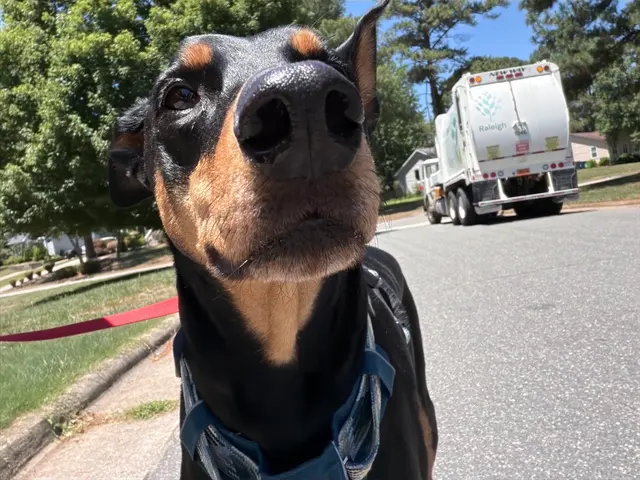 Hooman on Demand — photo from the business 9