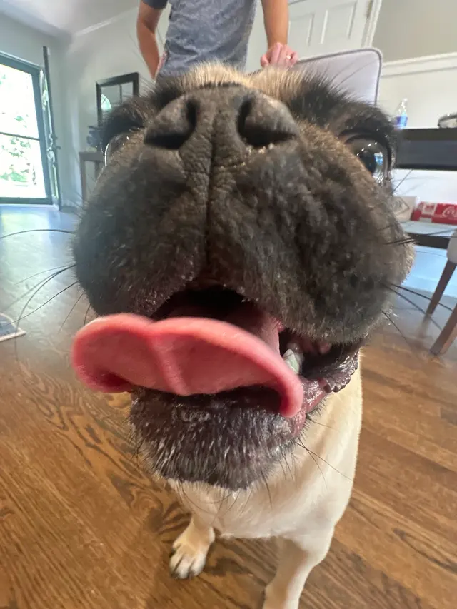 Hooman on Demand — photo from the business 6