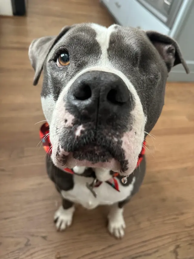 Hooman on Demand — photo from the business 4