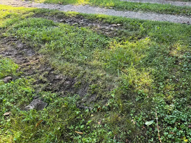 Action Plumbing, Heating, A/C & Electrical — customer photo 11