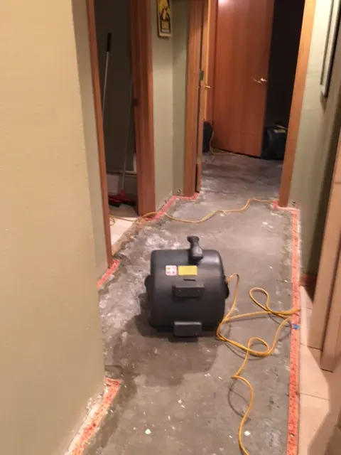 Clean Sweep Carpet Cleaning — photo from the business 8