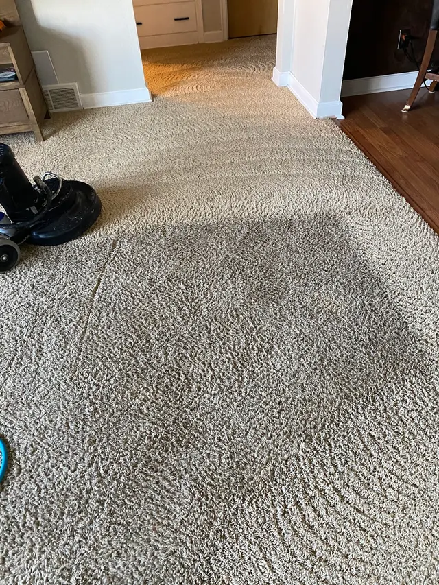 Clean Sweep Carpet Cleaning — photo from the business 3