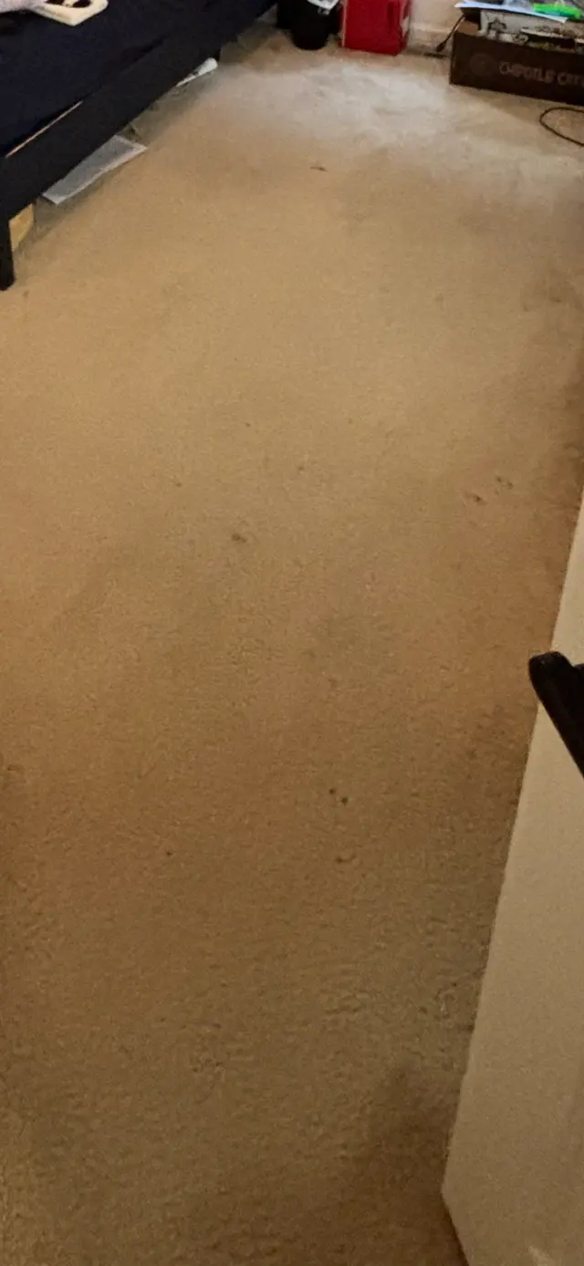 Customer photo of work by Clean Sweep Carpet Cleaning, from Jess Alexander's review
