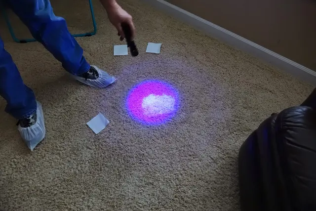 Clean Sweep Carpet Cleaning — photo from the business 10