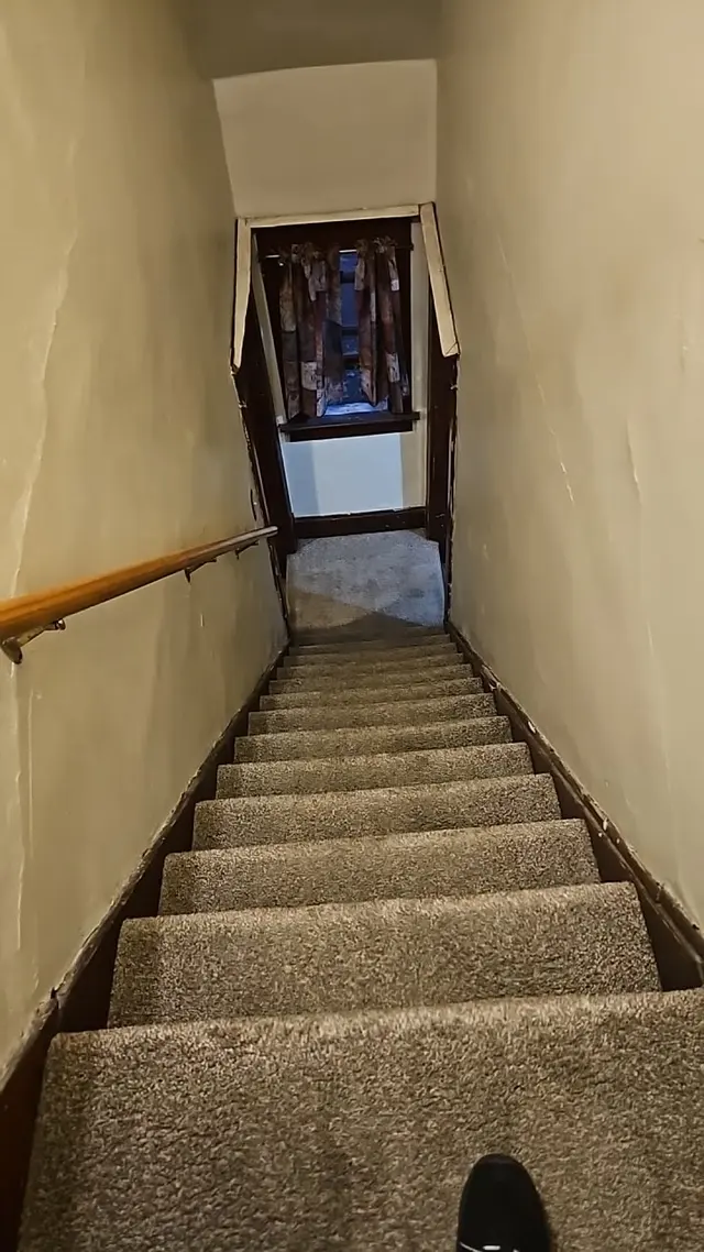 Stanley Steemer — customer photo 5