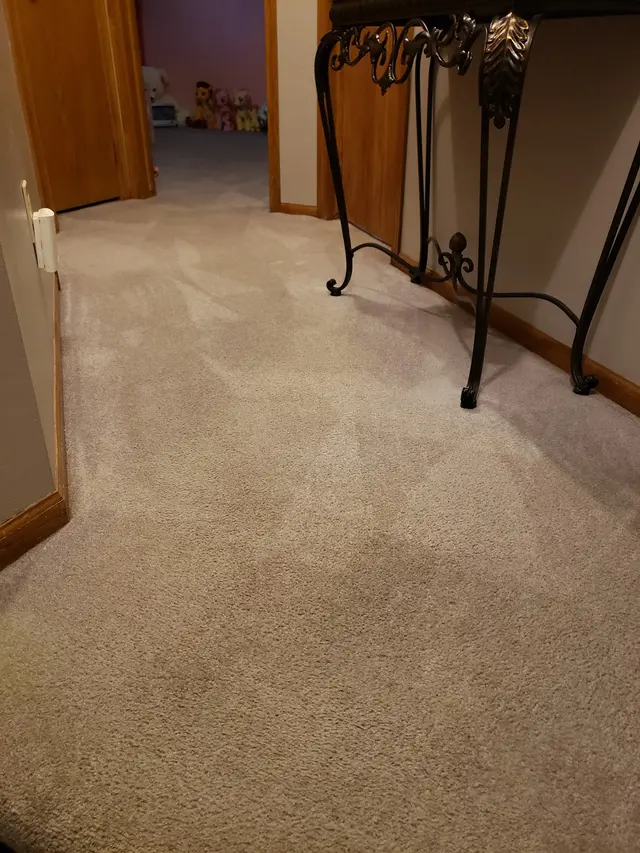 Oxi Fresh Carpet Cleaning — customer photo 3