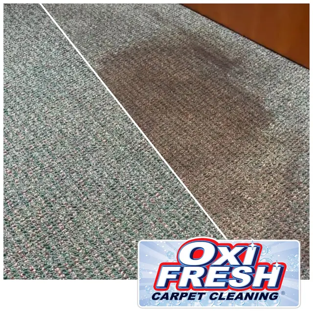 Oxi Fresh Carpet Cleaning — photo from the business 11