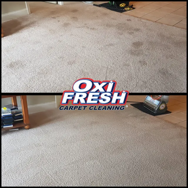 Oxi Fresh Carpet Cleaning — photo from the business 2