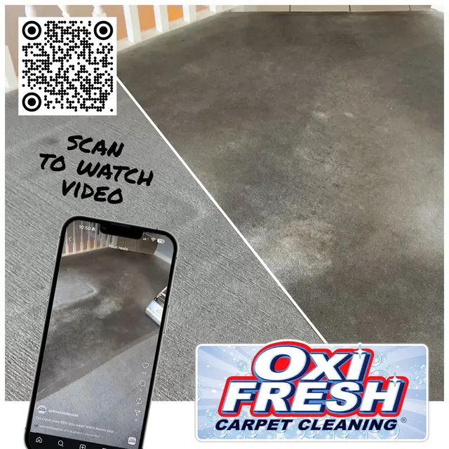 Oxi Fresh Carpet Cleaning — photo from the business 12