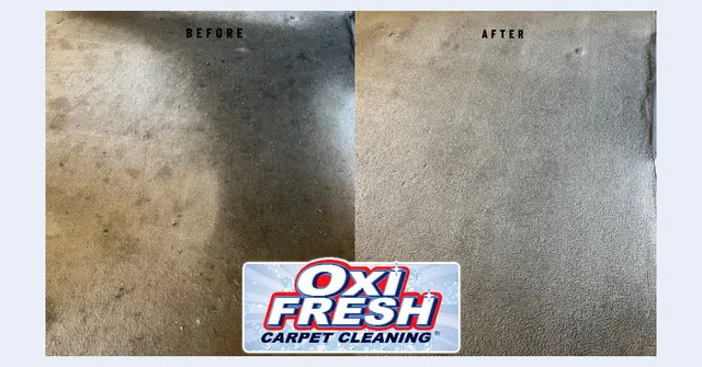 Oxi Fresh Carpet Cleaning — photo from the business 10