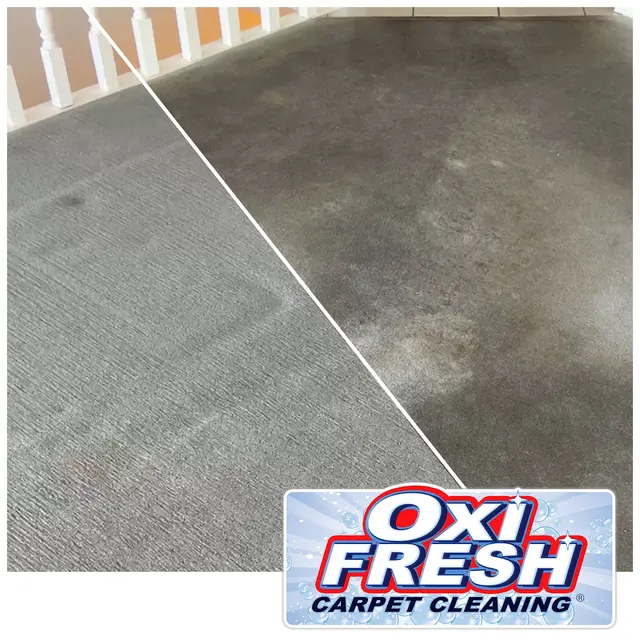Oxi Fresh Carpet Cleaning — photo from the business 9