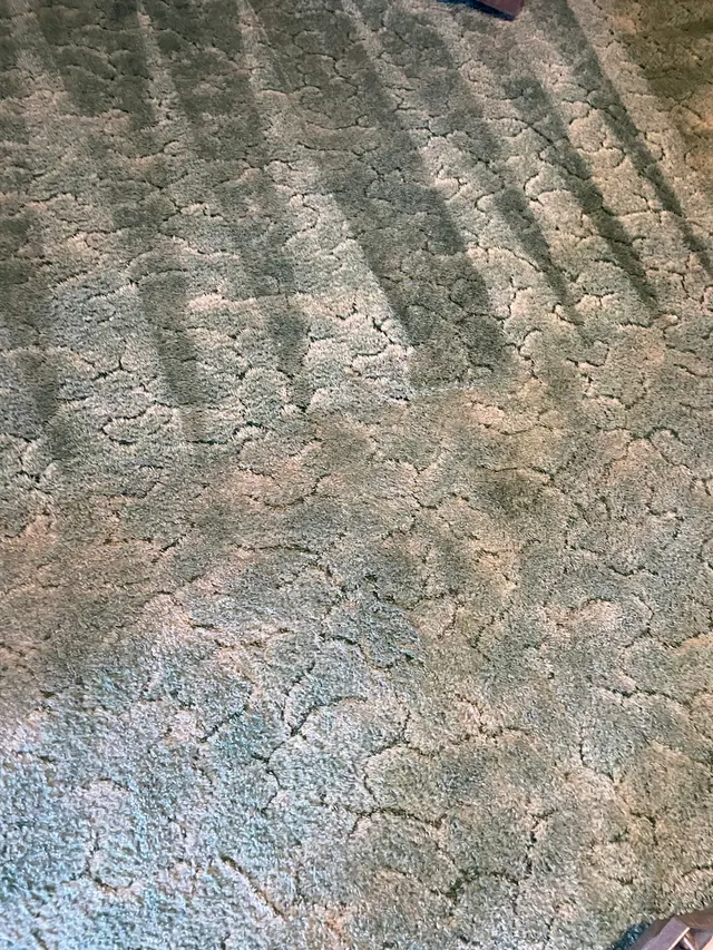 Absolute Cleaning Systems — photo from the business 10