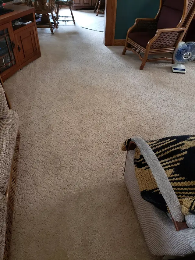Complete Carpet Care Inc — customer photo 6