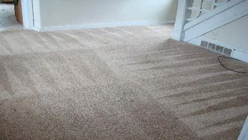 Complete Carpet Care Inc — photo from the business 5