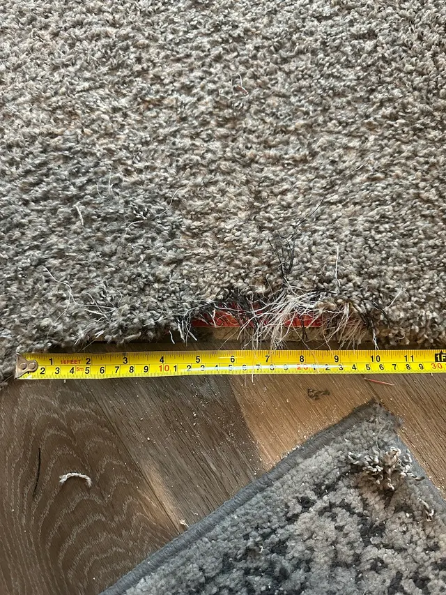 Haines Carpet Service — customer photo 5