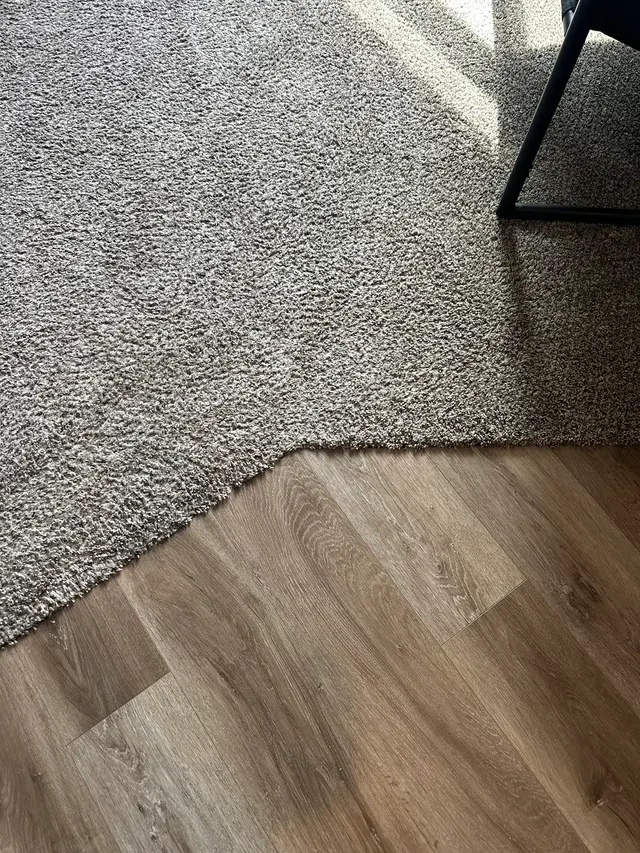 Haines Carpet Service — customer photo 4