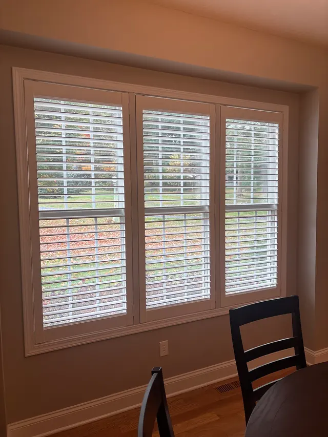 Vertical Elegance — customer photo 3