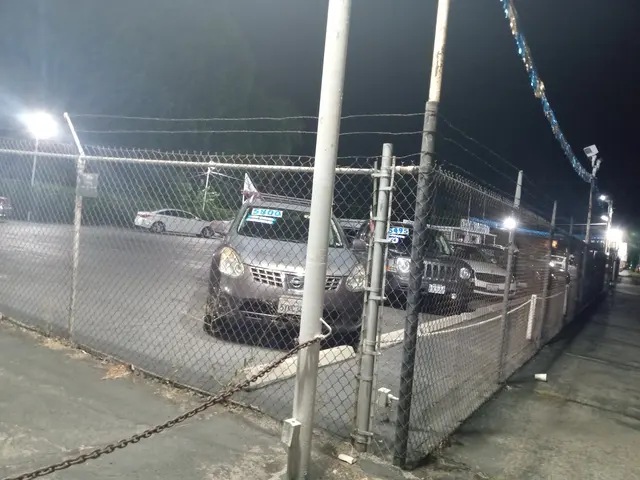Tire Zone Ontario — customer photo 12