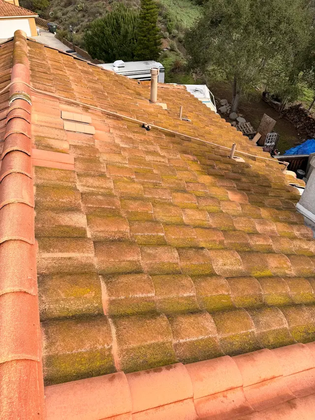 Elbow Grease Window Cleaning — customer photo 10