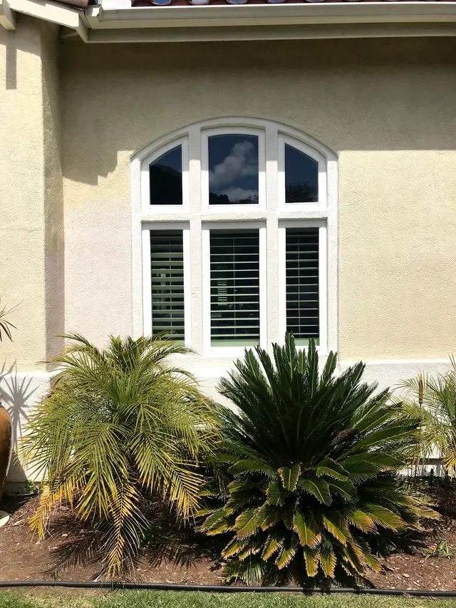 The Window Shoppe — photo from the business 3