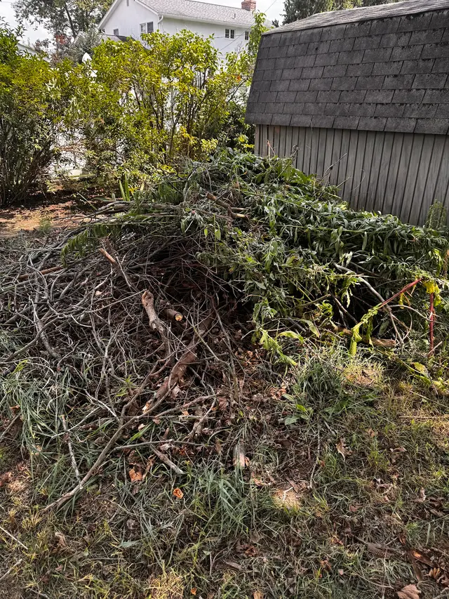 Duffy's Local Junk Removal & Hauling — photo from the business 8