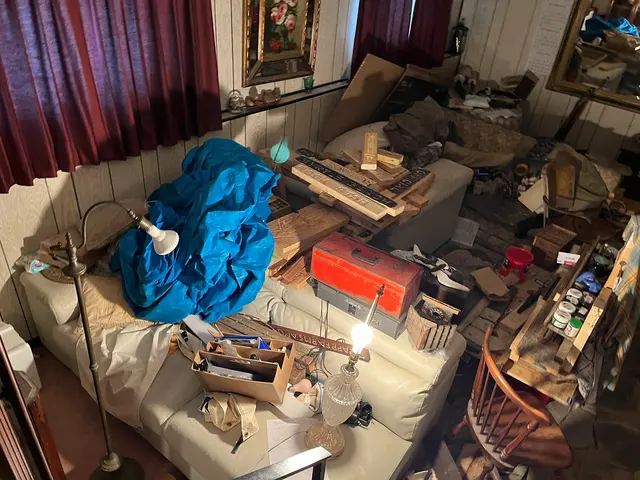 Lug Stars Junk Removal — photo from the business 12