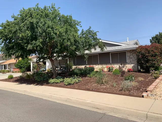 Vicki Carpenter — customer photo 8