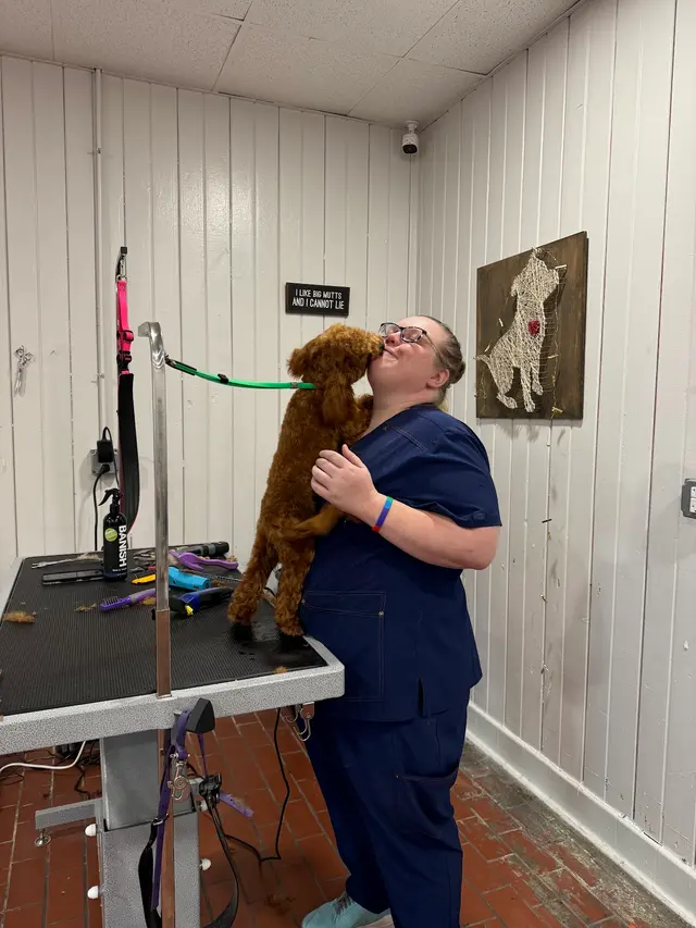 Carvers' Groomery — photo from the business 2