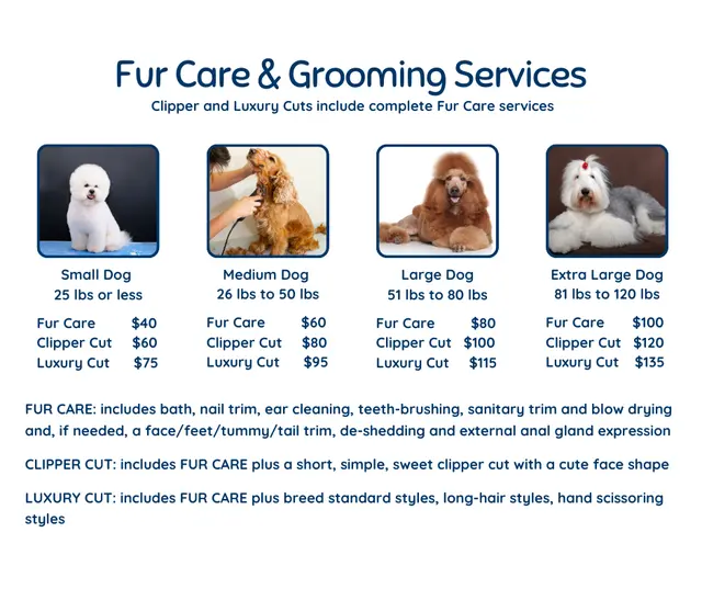 Carvers' Groomery — photo from the business 10
