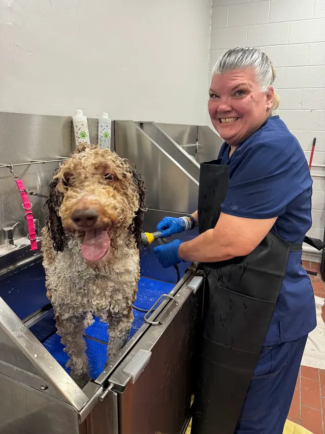 Carvers' Groomery — photo from the business 9