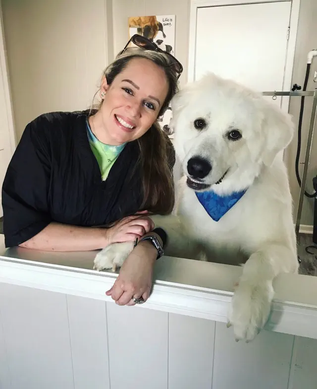 House Of Paws Grooming Salon — photo from the business 5