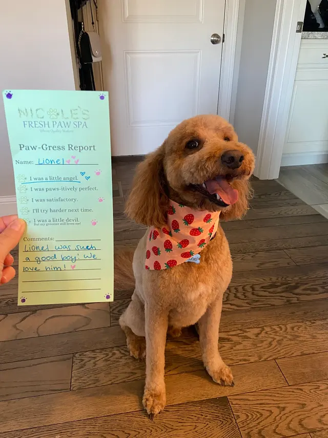 Zozo's Doggie Spa — customer photo 7