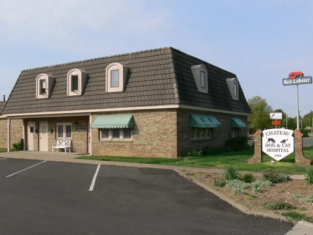 Chateau Dog & Cat Hospital — photo from the business 1