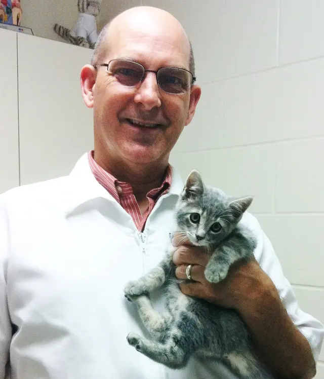 Chateau Dog & Cat Hospital — photo from the business 12