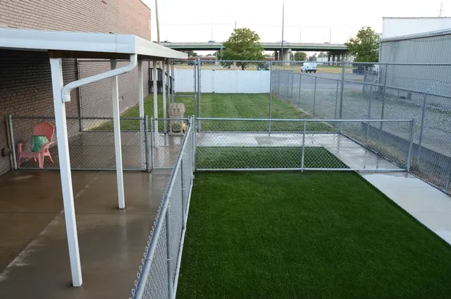 Opie's Doggie Playcare and Salon — customer photo 3