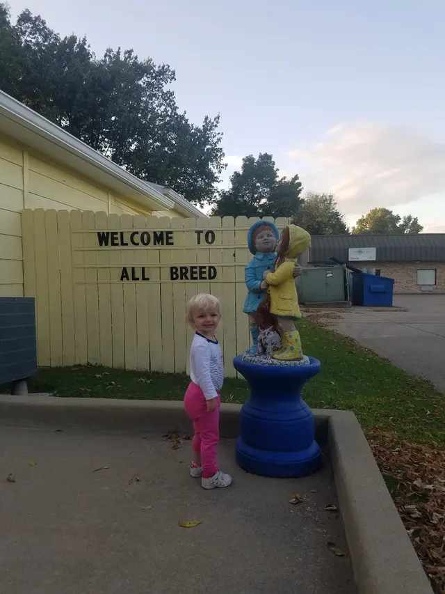 All Breed Grooming, Boarding And Daycare — photo from the business 6