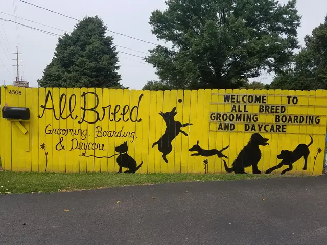 All Breed Grooming, Boarding And Daycare — photo from the business 8