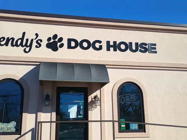 Wendy's Dog House — customer photo 1