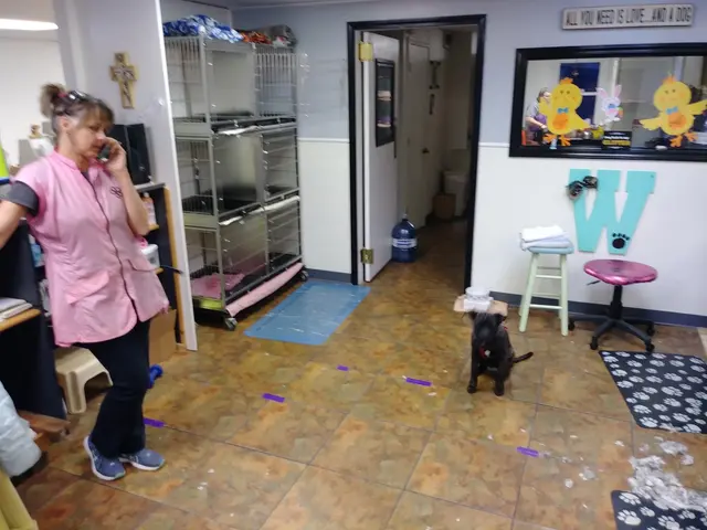 Wendy's Dog House — customer photo 8