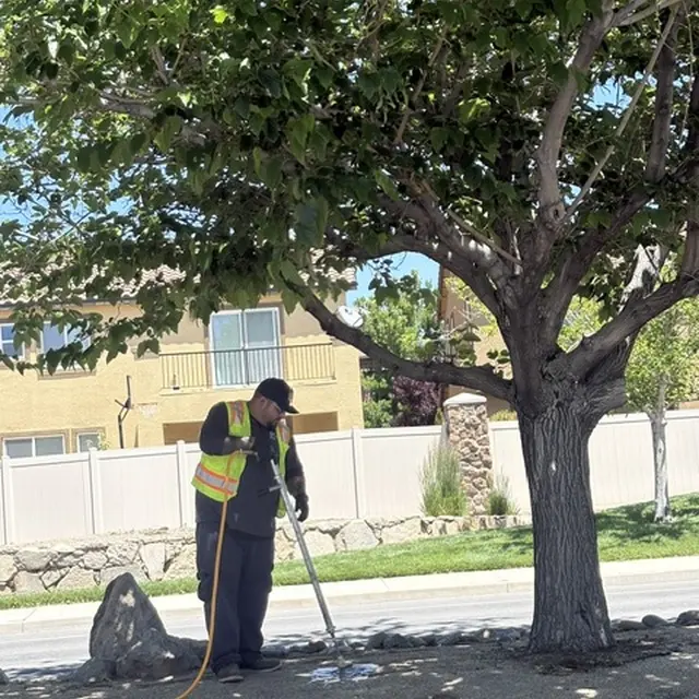 Northern Nevada Pest Control — photo from the business 4