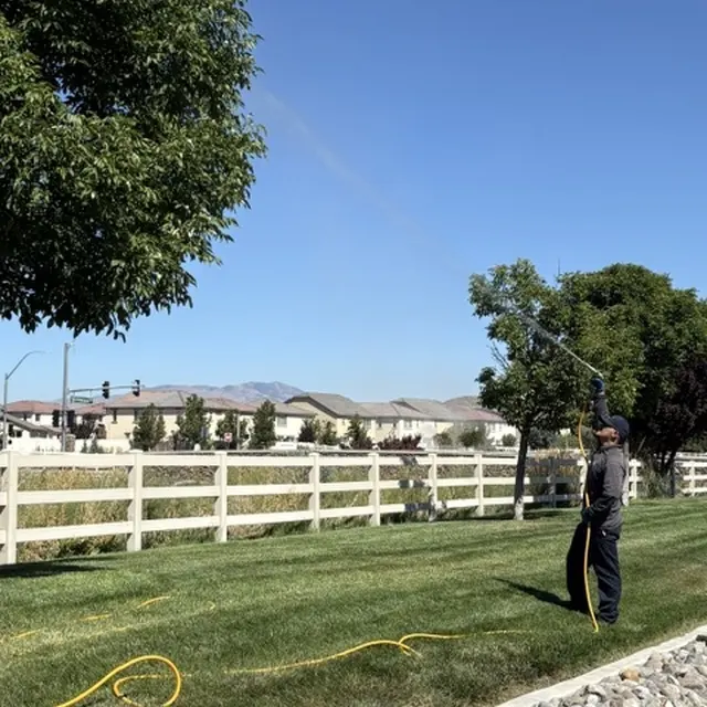 Northern Nevada Pest Control — photo from the business 1
