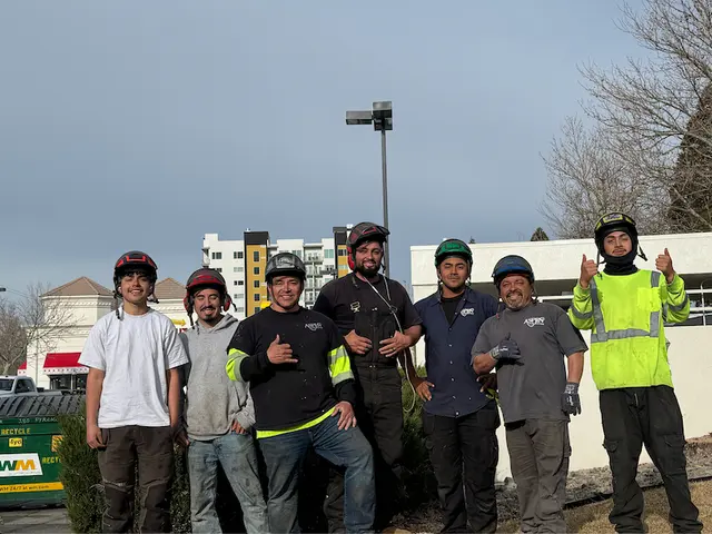 Aspen Tree Service — photo from the business 1