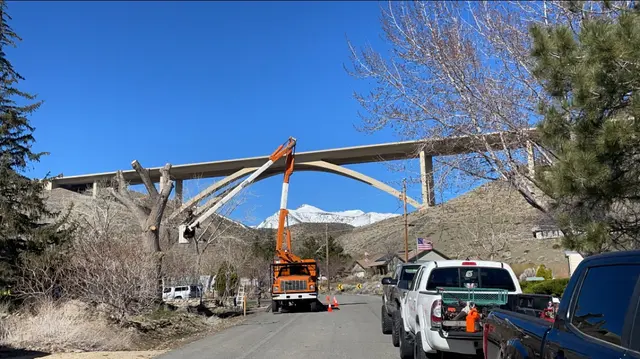 Aspen Tree Service — photo from the business 4