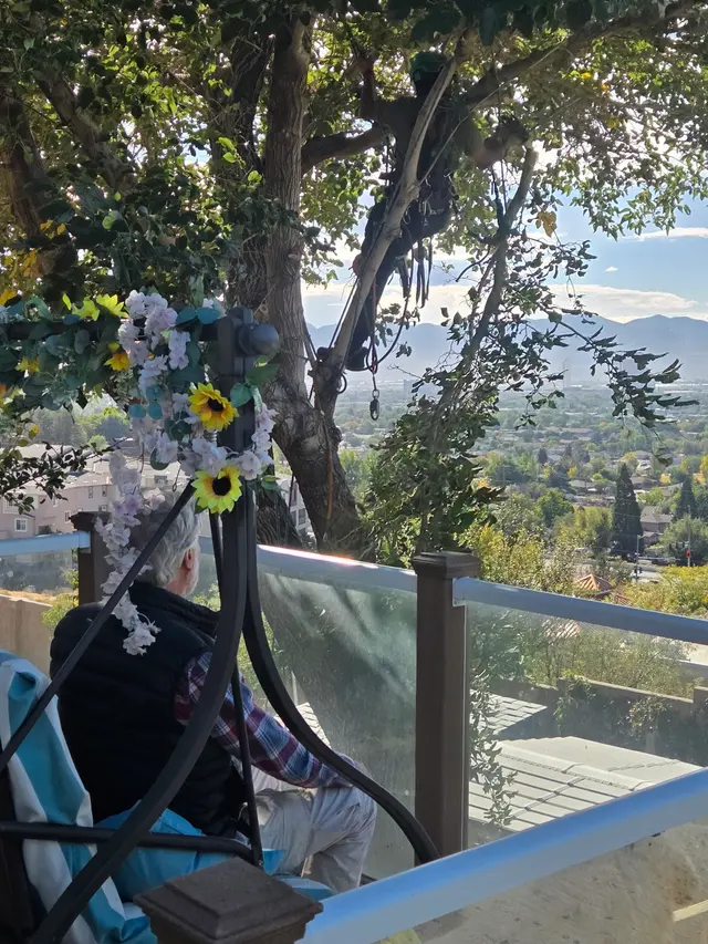 Aspen Tree Service — customer photo 5